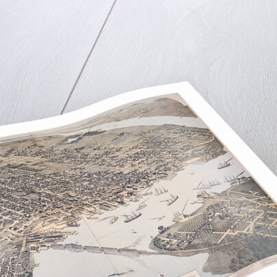 Bird's Eye View of Jacksonville by Anonymous