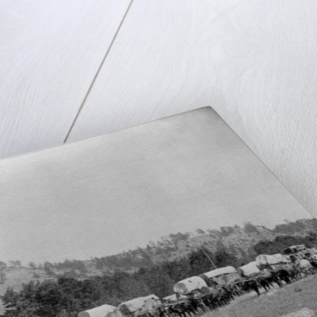 Wagon Train in the Black Hills by Anonymous
