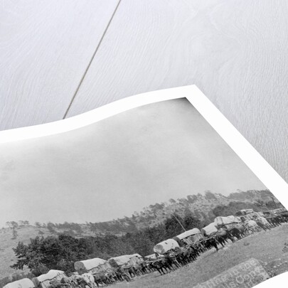 Wagon Train in the Black Hills by Anonymous