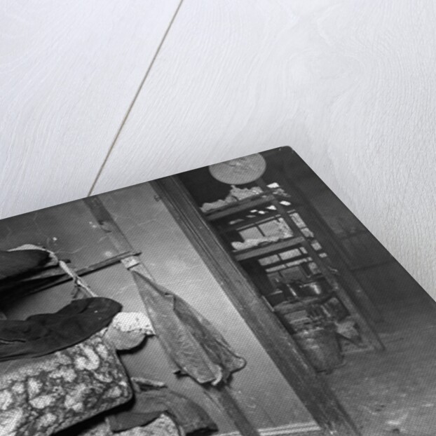 Bunkrooms in New York Tenement House by Anonymous