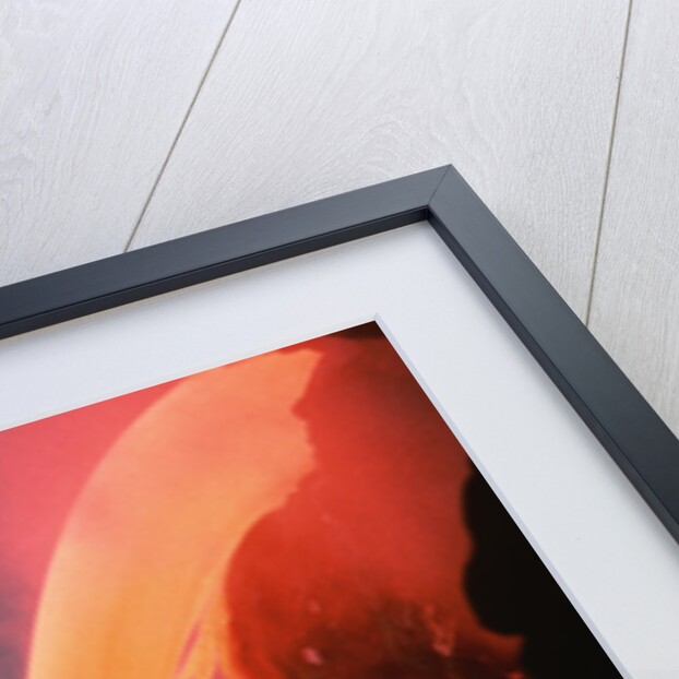 Lava Tube Pours Into Ocean by Anonymous