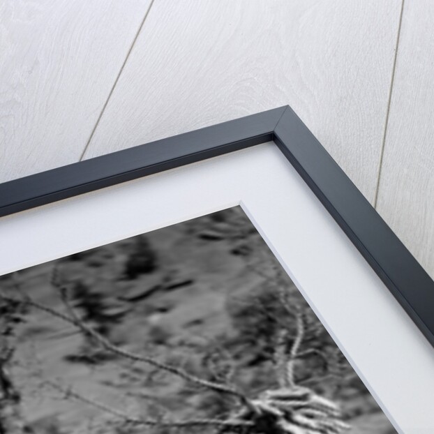 A Navajo Family Outside Their Home by Anonymous
