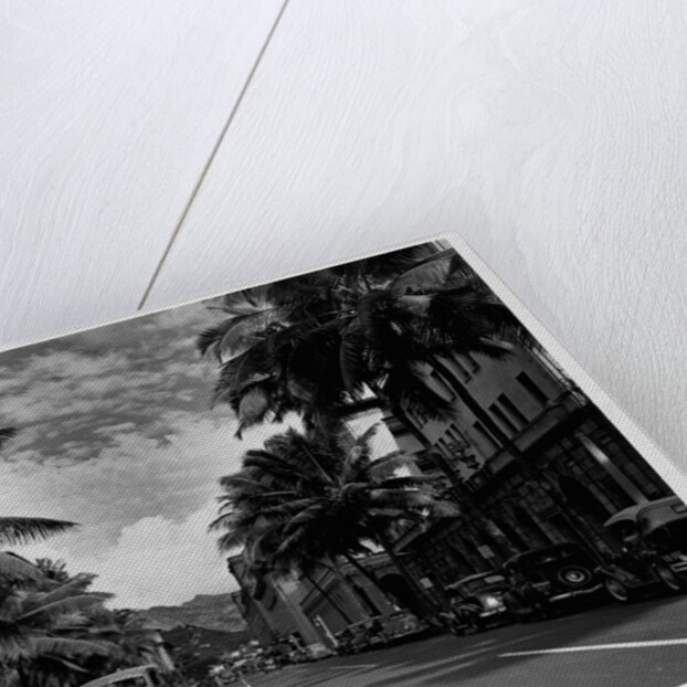 Street in Honolulu, Hawaii by Anonymous