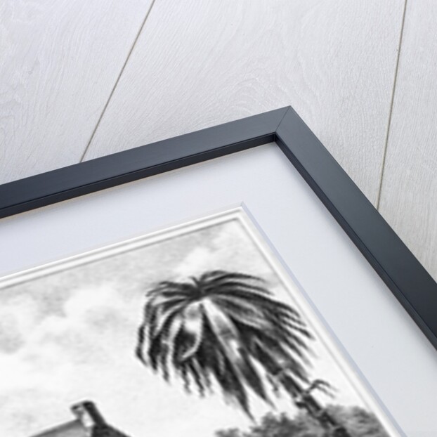 Home of the President of Liberia by Anonymous