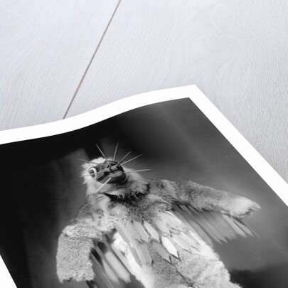 Hamasilahl - Qagyuhl by Edward S. Curtis