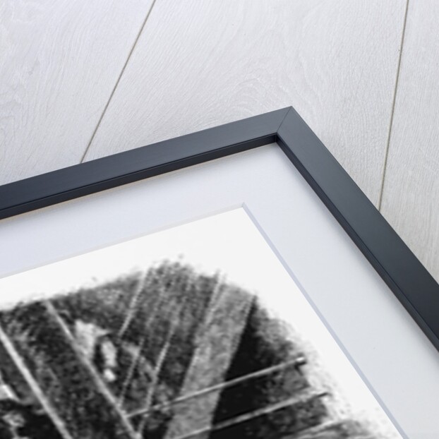 Immigrants in Steerage of Ship by Anonymous