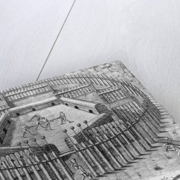 Engraving of a Tupinamba Village by Theodor de Bry