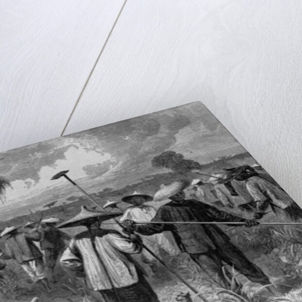 Workers at a Sugar Plantation by Anonymous