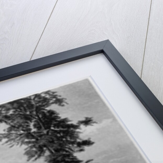 Mormon Settlement in Iowa by Anonymous