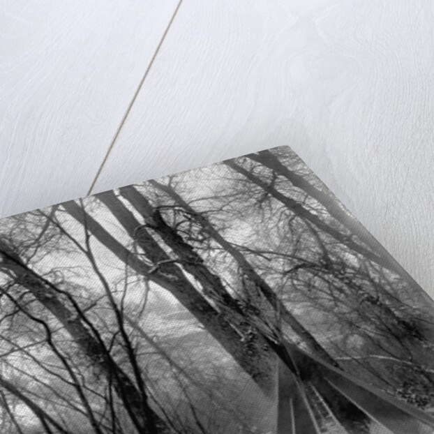 A tepee in a snow covered forest by E.S Curtis