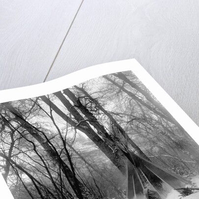 A tepee in a snow covered forest by E.S Curtis