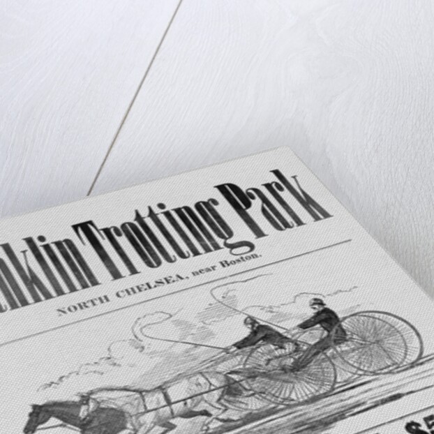 Ad for Trotter Races by Anonymous
