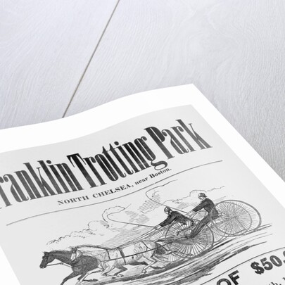 Ad for Trotter Races by Anonymous