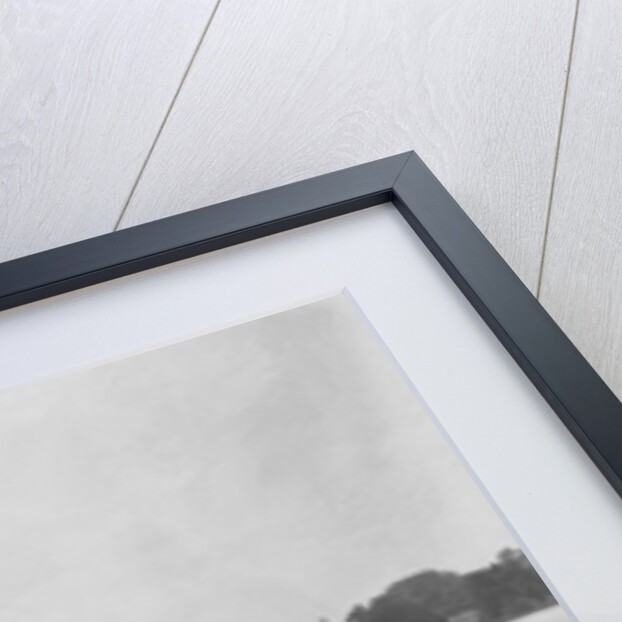 Flood on the Mississippi River by Anonymous