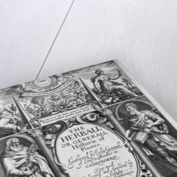Illus. title page of The Herball or Generall Historie of Plantes by Anonymous