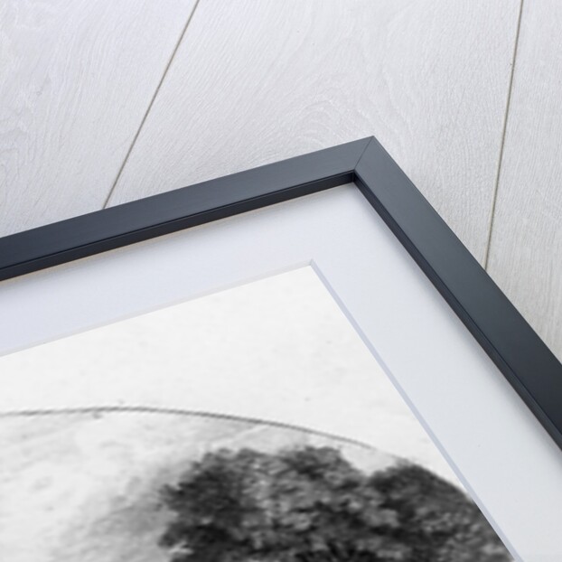 A View at Minisink, New Jersey by Scoles