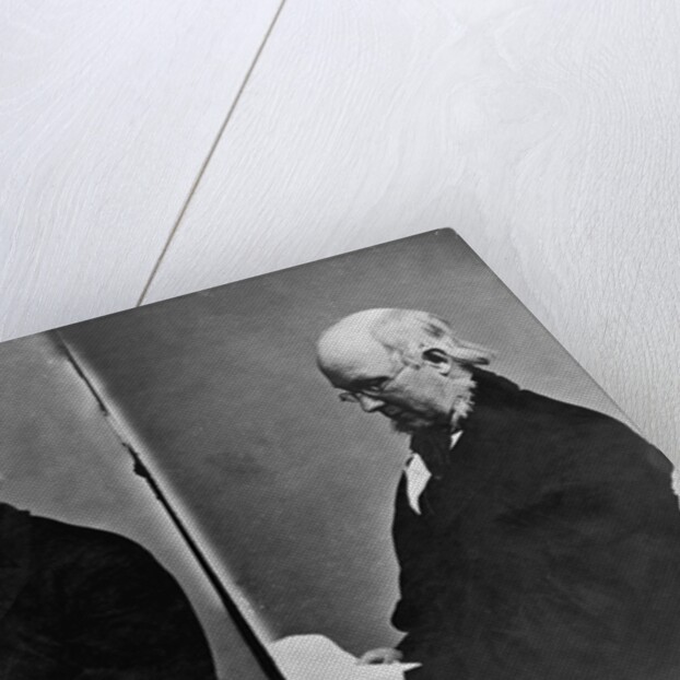 Journalist Horace Greeley by Anonymous