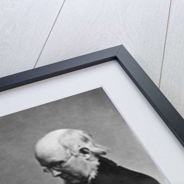 Journalist Horace Greeley by Anonymous