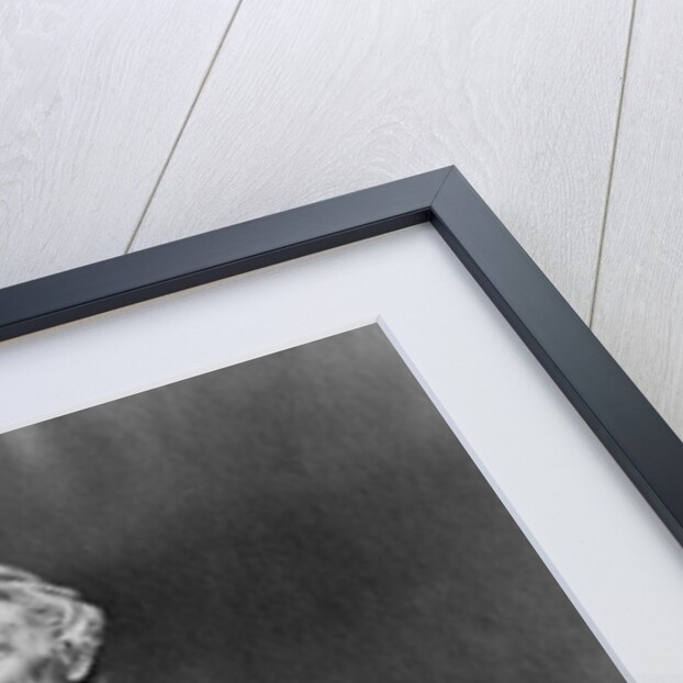 Inventor and Painter Samuel Morse by Anonymous