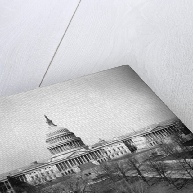 United States Capitol by Anonymous