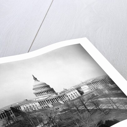 United States Capitol by Anonymous