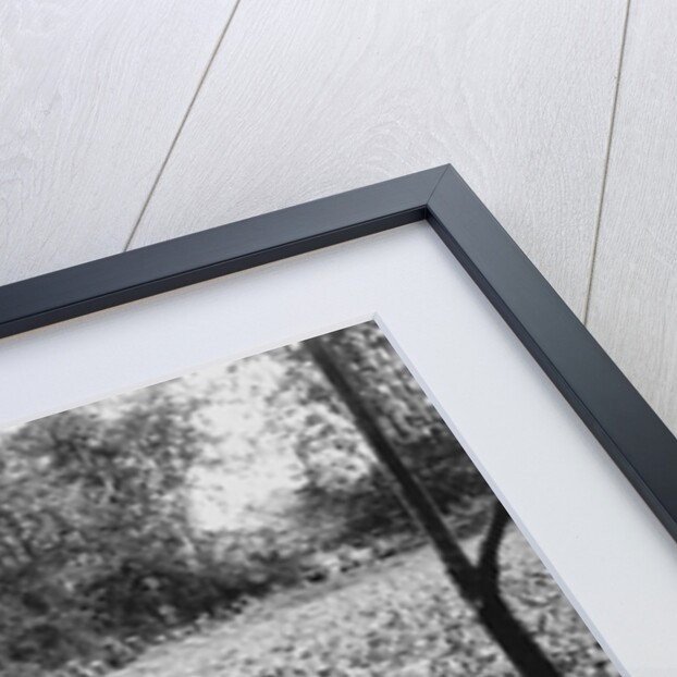 American Soldiers on Maneuvers During the Philippine Insurrection by Anonymous