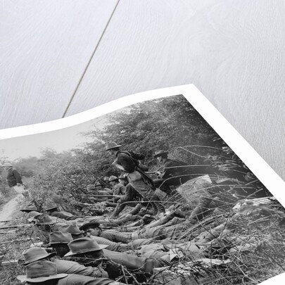 American Soldiers on Maneuvers During the Philippine Insurrection by Anonymous
