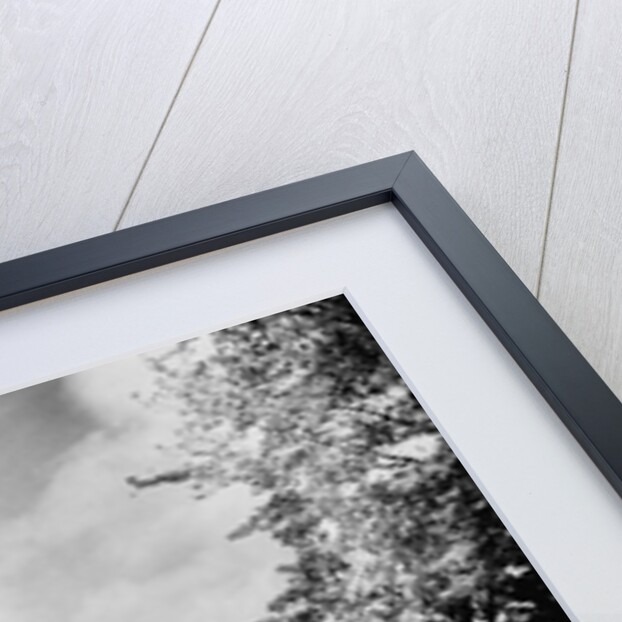 Rotunda at University of Virginia by Anonymous