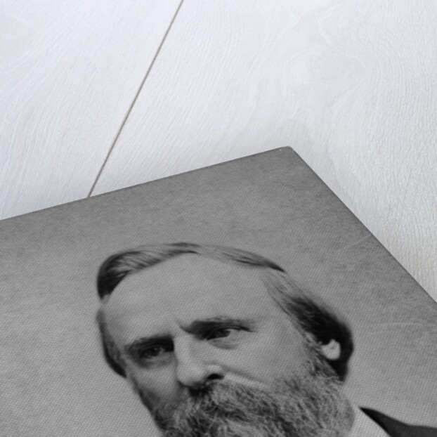President Rutherford B. Hayes by Anonymous