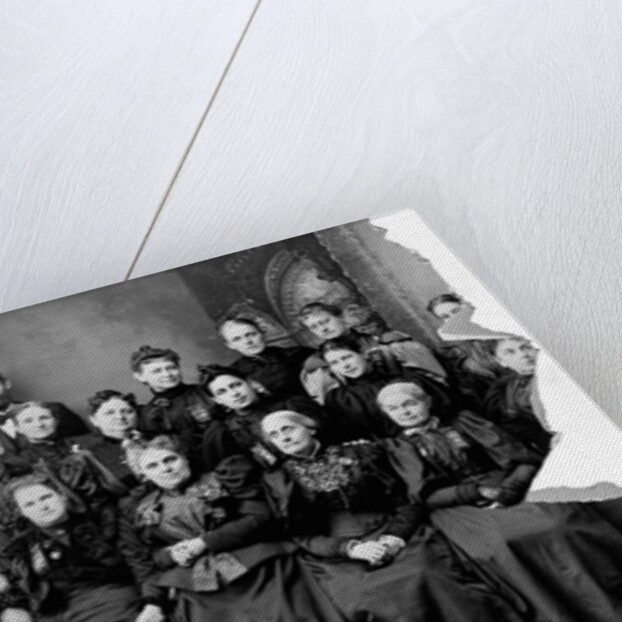 National Council of Women of the United States, 1895 by Anonymous