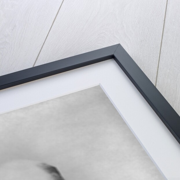 Outlaw Cole Younger by Anonymous