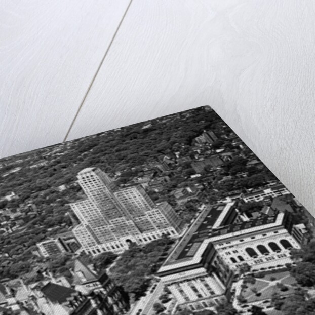Government Buildings in Albany by Anonymous