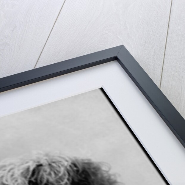 Actress Lillie Langtry by Anonymous