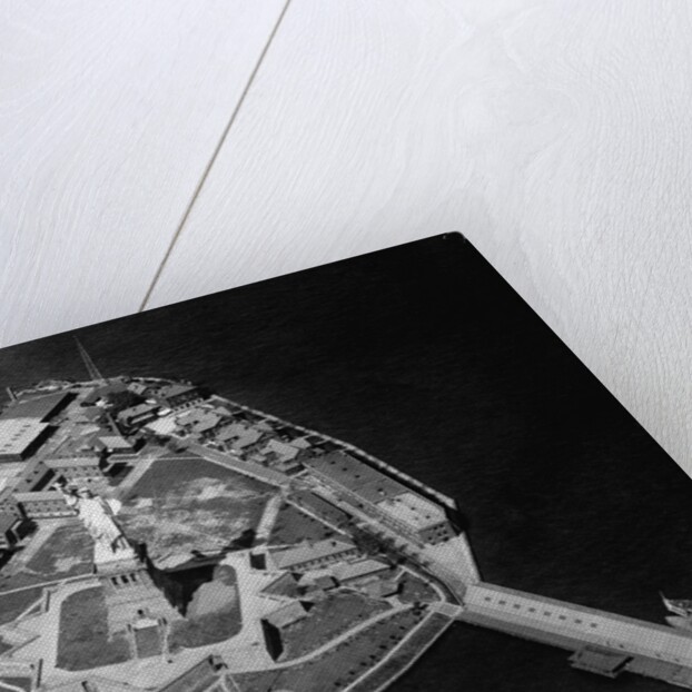 Aerial View of Statue of Liberty by Anonymous