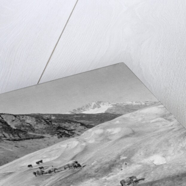 Horses Packing Silver Ore Across Glacier by Anonymous