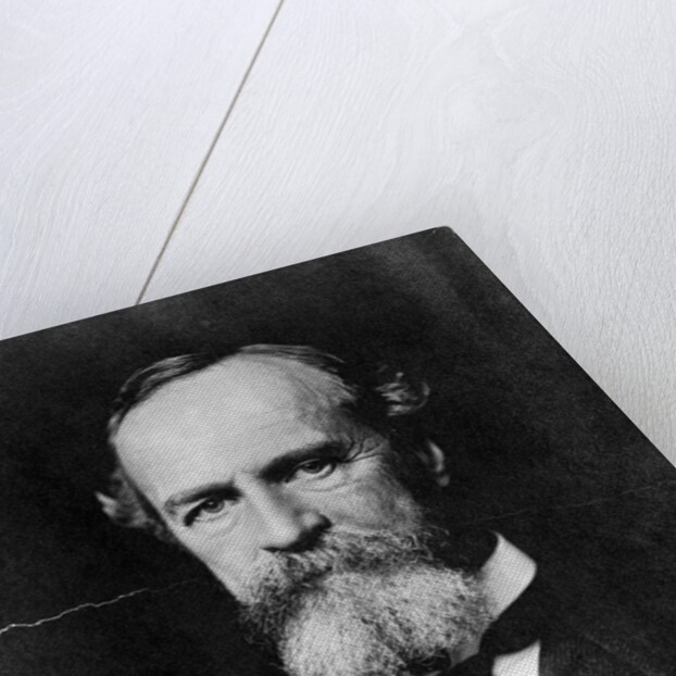 Philosopher William James by Anonymous
