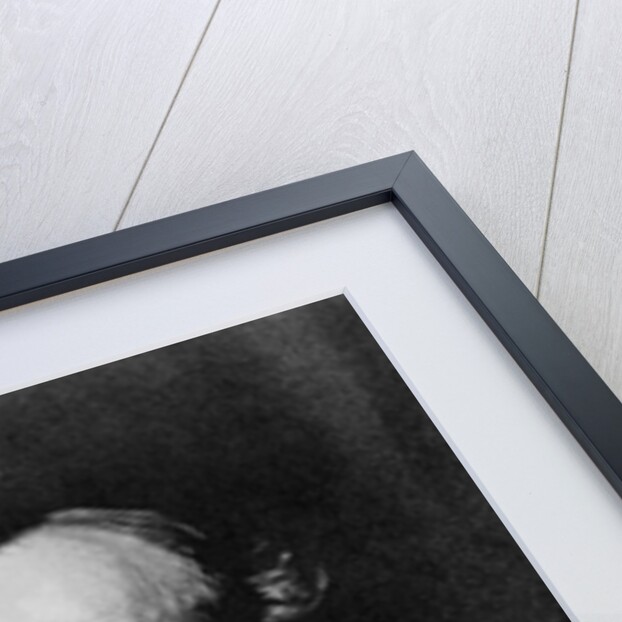 Philosopher William James by Anonymous