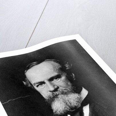 Philosopher William James by Anonymous
