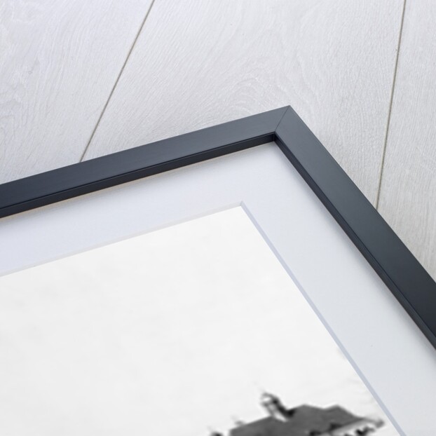 Home of George W. Vanderbit (Biltmore House), near Asheville, NC by T.H. Lindsey