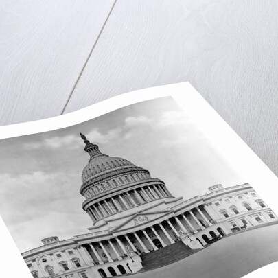 U. S. Capitol in Washington D. C. by Anonymous