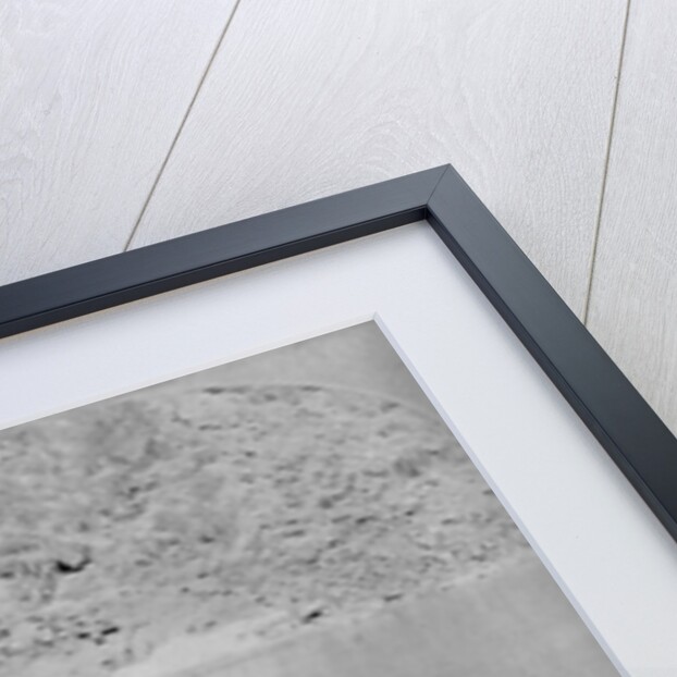 Explorers at Diamond Creek by Anonymous