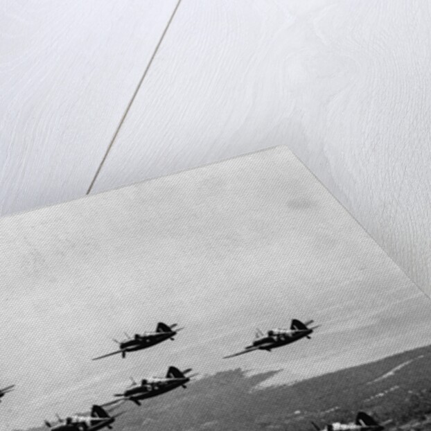 RAF Brewster Buffalo Fighters over Malaya by Anonymous