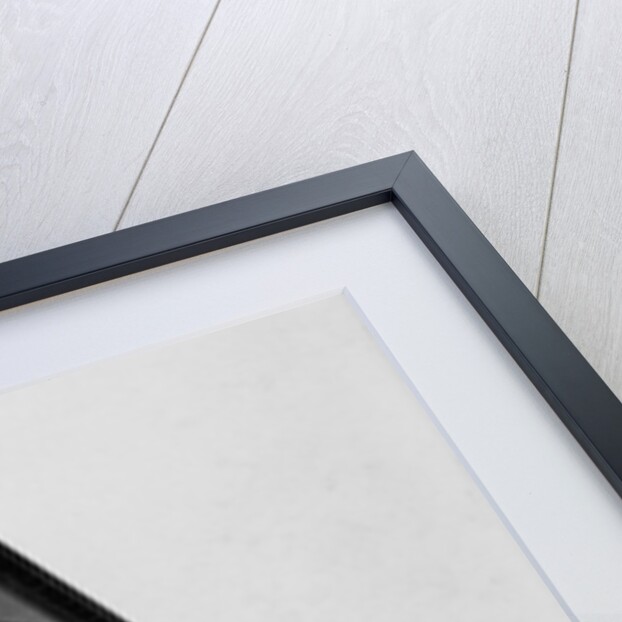 Ford's Theatre by Anonymous