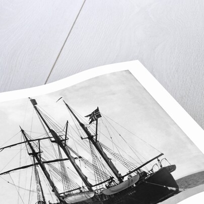 Meeting of the Fram and the Terra Nova by Anonymous