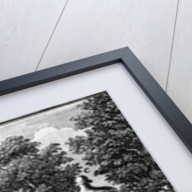 Eighteenth Century Engraving Use of the Camera Obscura by Anonymous