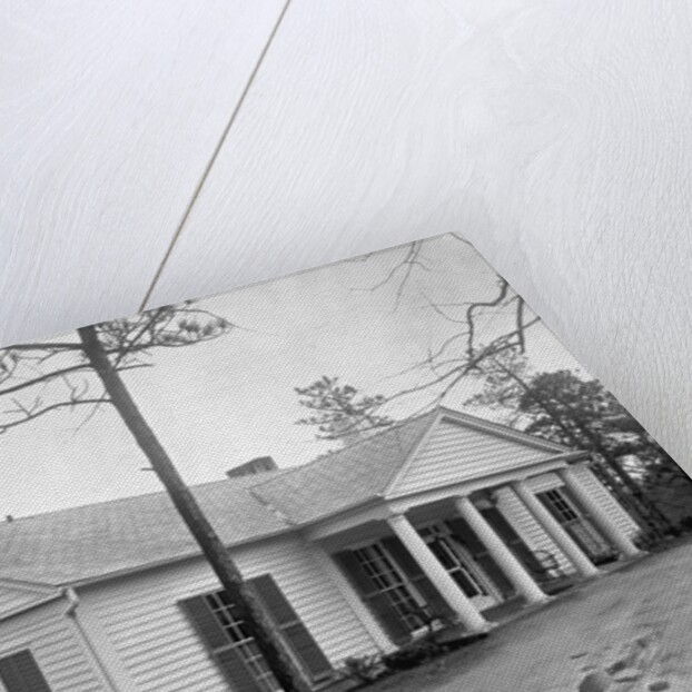 The Little White House by Anonymous