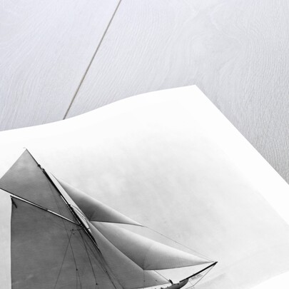 Yacht Reliance at Full Sail by Anonymous