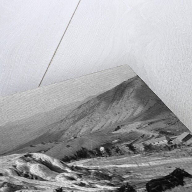 Stagecoach at Mammoth Hot Springs by Anonymous