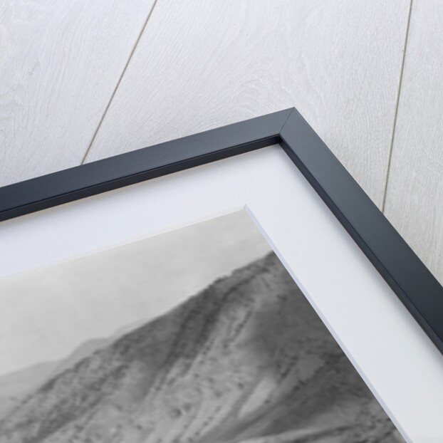 Stagecoach at Mammoth Hot Springs by Anonymous