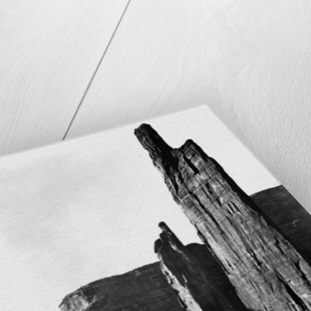 Stone Monoliths at Canyon de Chelly by Anonymous